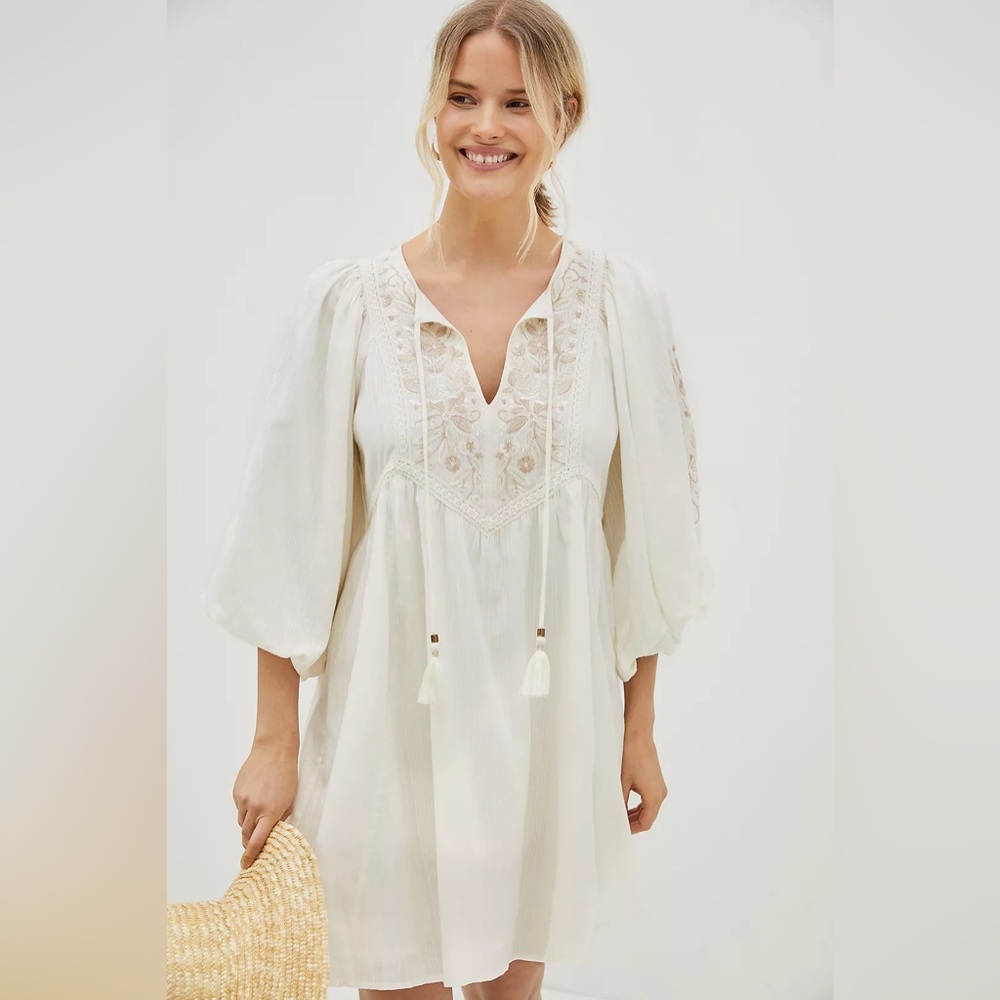 Anthropologie Embroidered Mini Dress (XSP)